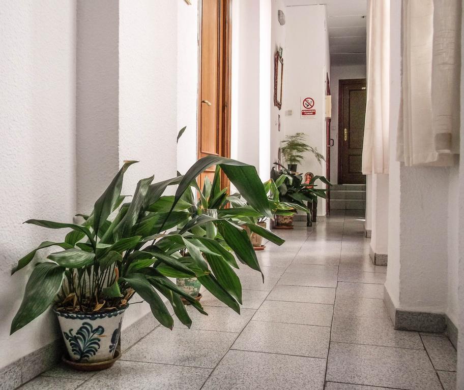 Pension Ciudad Navarro Ramos Granada Exterior foto